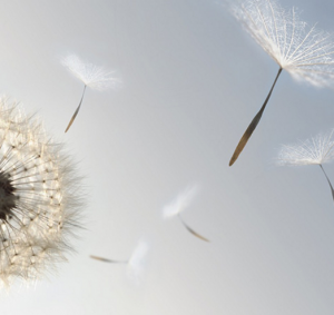 вентиляция квартиры